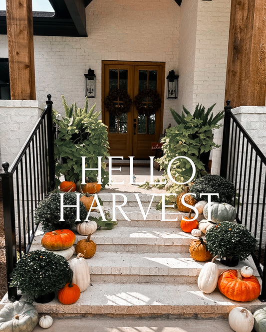 Hello Harvest!